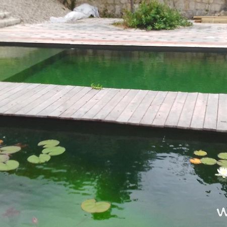 Gite Les Cabanes De Fallot Pour 15 Personnes - Piscine Naturelle L'isle-Bouzon エクステリア 写真