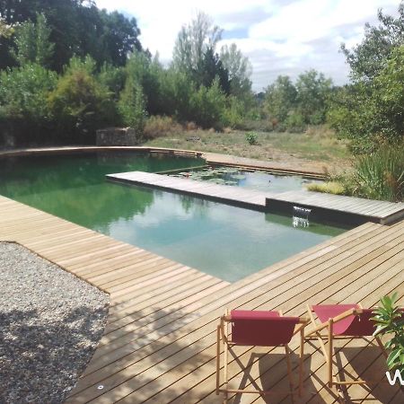 Gite Les Cabanes De Fallot Pour 15 Personnes - Piscine Naturelle L'isle-Bouzon エクステリア 写真