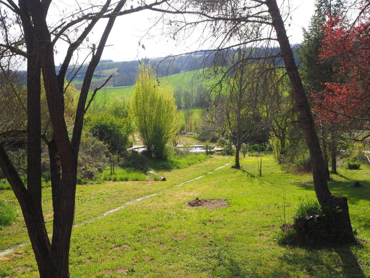 Gite Les Cabanes De Fallot Pour 15 Personnes - Piscine Naturelle L'isle-Bouzon エクステリア 写真