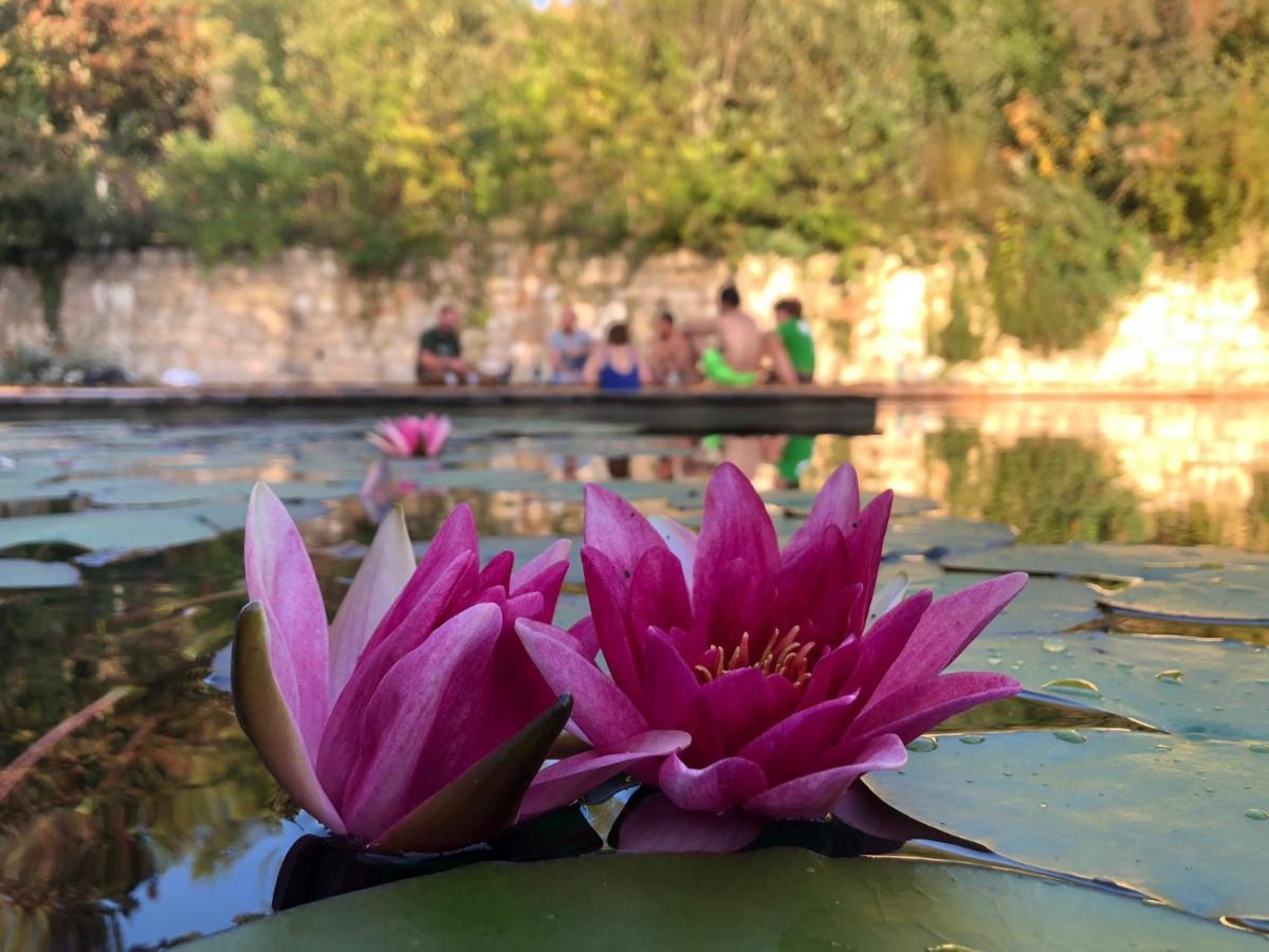 Gite Les Cabanes De Fallot Pour 15 Personnes - Piscine Naturelle L'isle-Bouzon エクステリア 写真