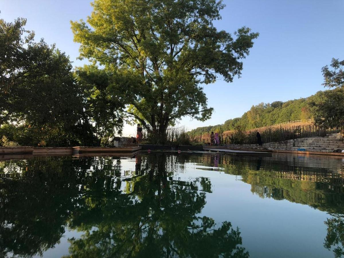 Gite Les Cabanes De Fallot Pour 15 Personnes - Piscine Naturelle L'isle-Bouzon エクステリア 写真